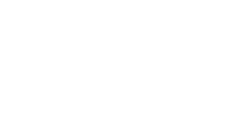 Pignolo Peinture SA